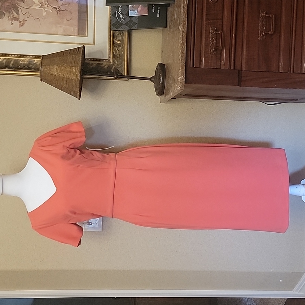 Maggy London Coral V-Neck Sheath Dress